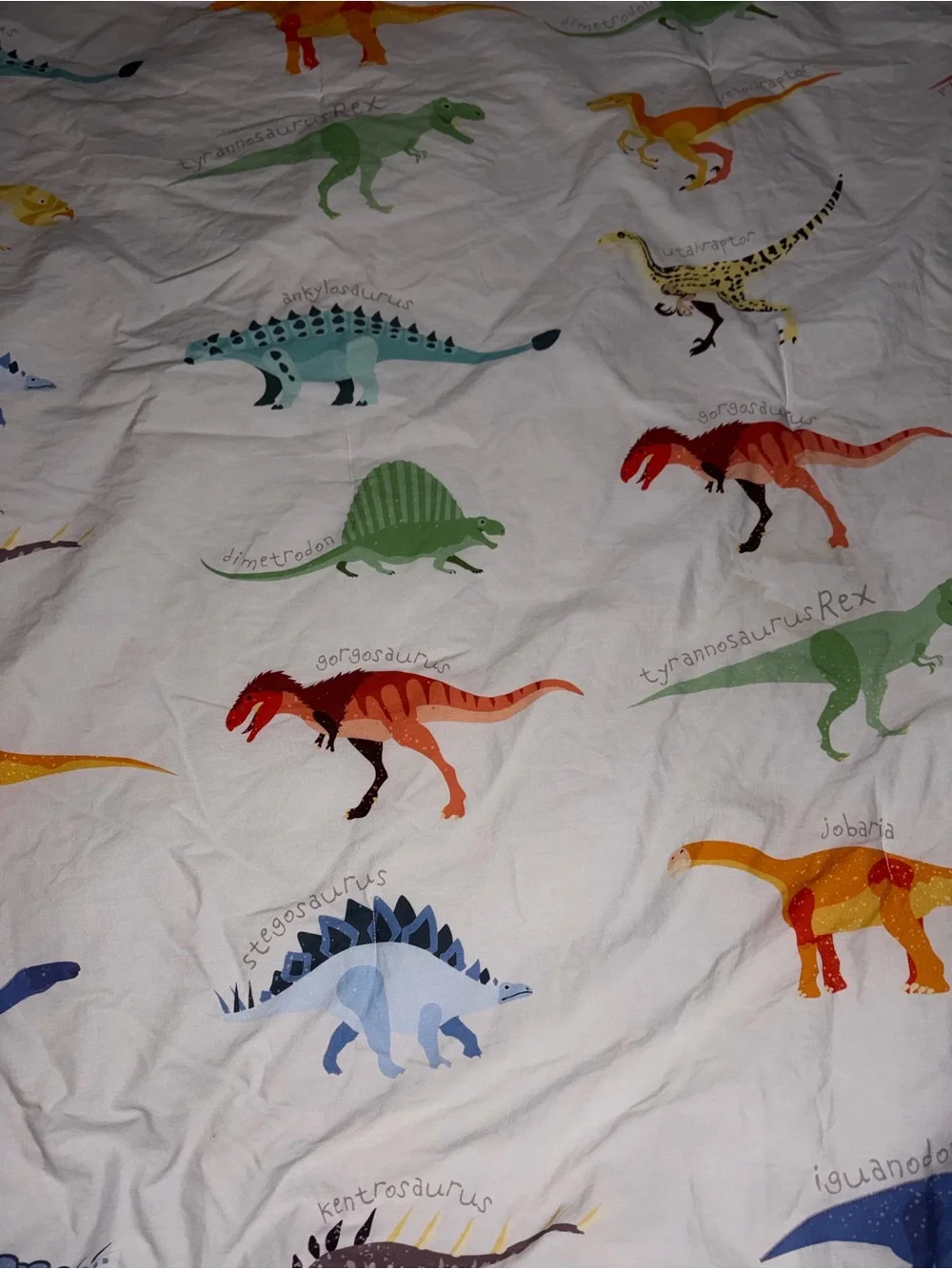 Pottery Barn Dinosaur Comforter